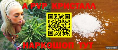 молекула духа Старая Купавна