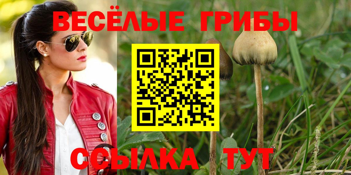 Галлюциногенные грибы Magic Shrooms Нижнекамск
